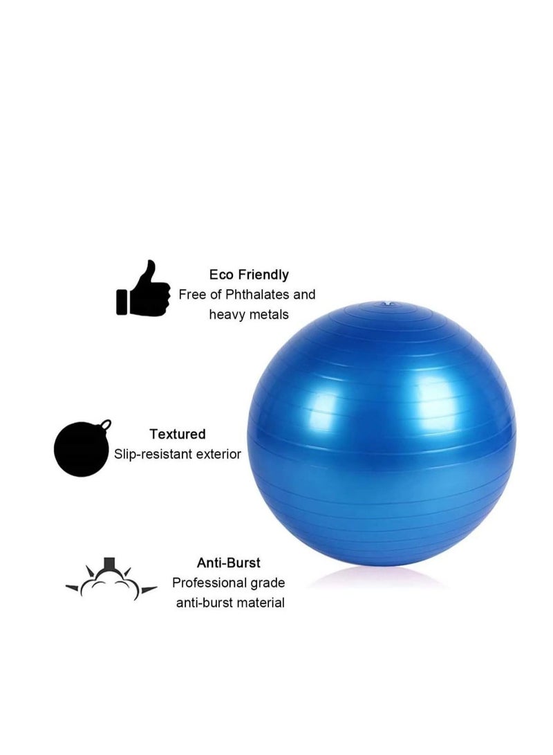 Jinara Gym Ball Exercise Ball, Anti-Burst Yoga Ball with Quick Pump, 65cm Thick Balance Ball Chair for Birthing Fitness Workout Stability Pilates, Gym & Home