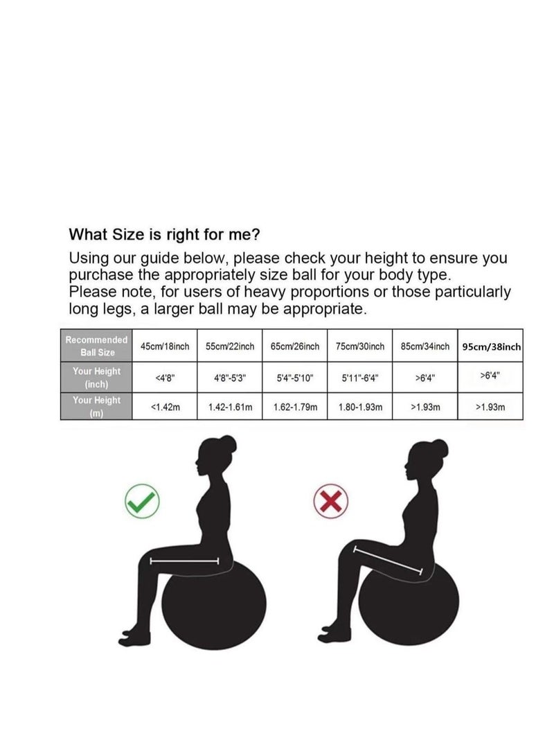 Jinara Gym Ball Exercise Ball, Anti-Burst Yoga Ball with Quick Pump, 65cm Thick Balance Ball Chair for Birthing Fitness Workout Stability Pilates, Gym & Home