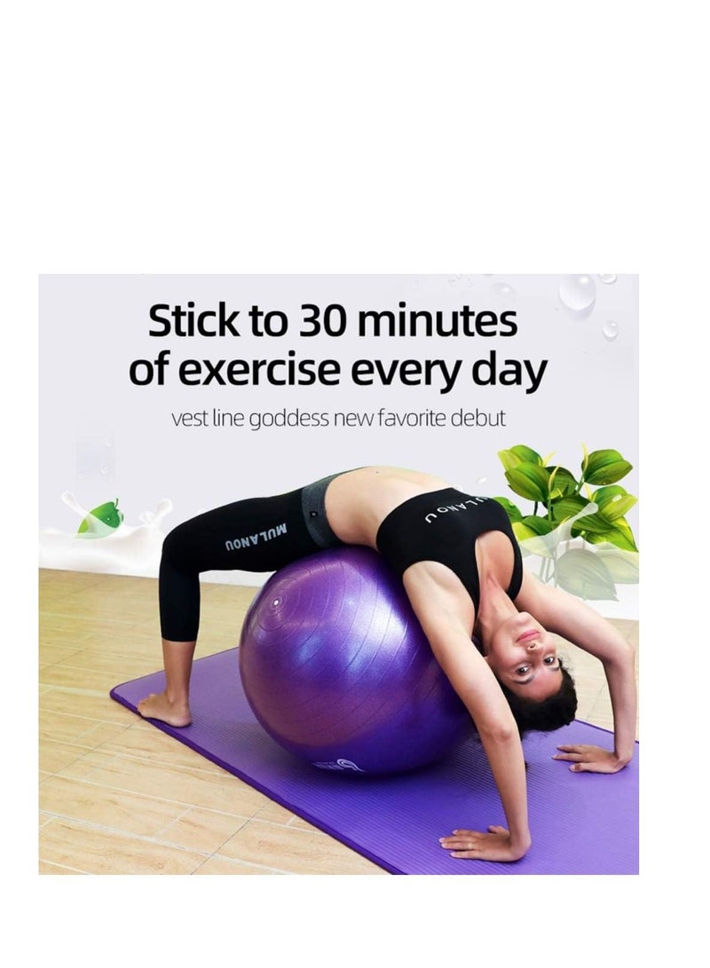 Jinara Gym Ball Exercise Ball, Anti-Burst Yoga Ball with Quick Pump, 65cm Thick Balance Ball Chair for Birthing Fitness Workout Stability Pilates, Gym & Home