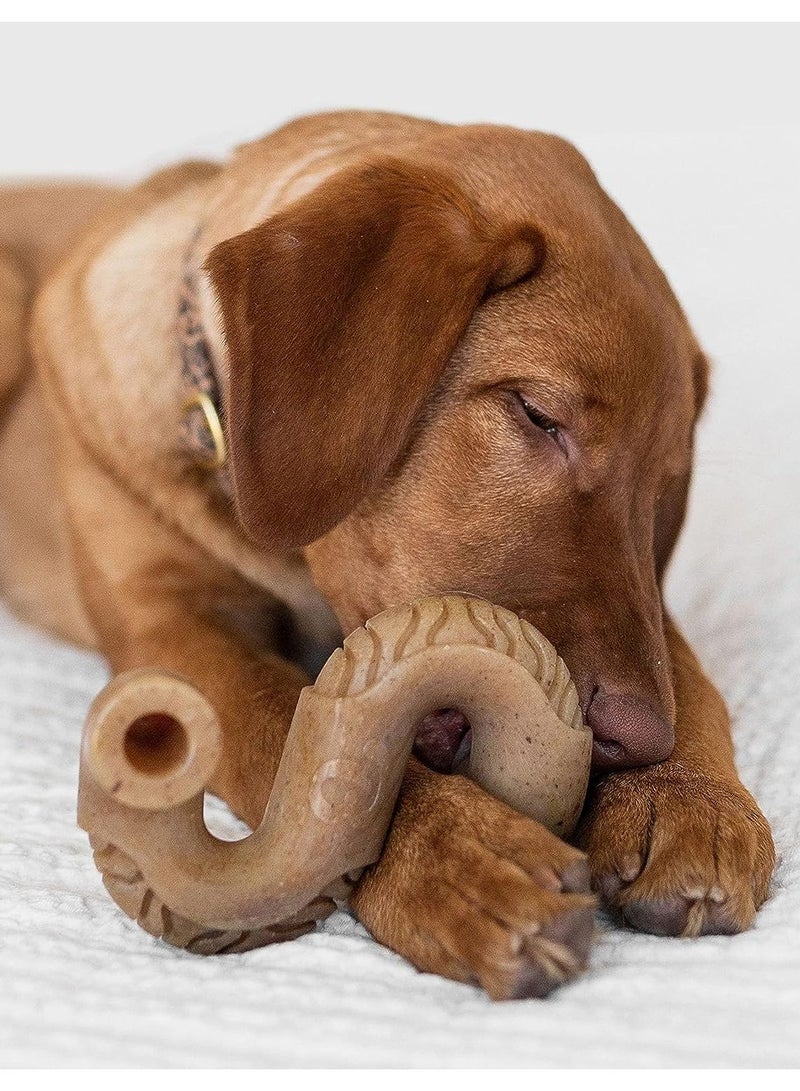 Beef Tripe Bone Chew Toy for Aggressive Chewers Medium