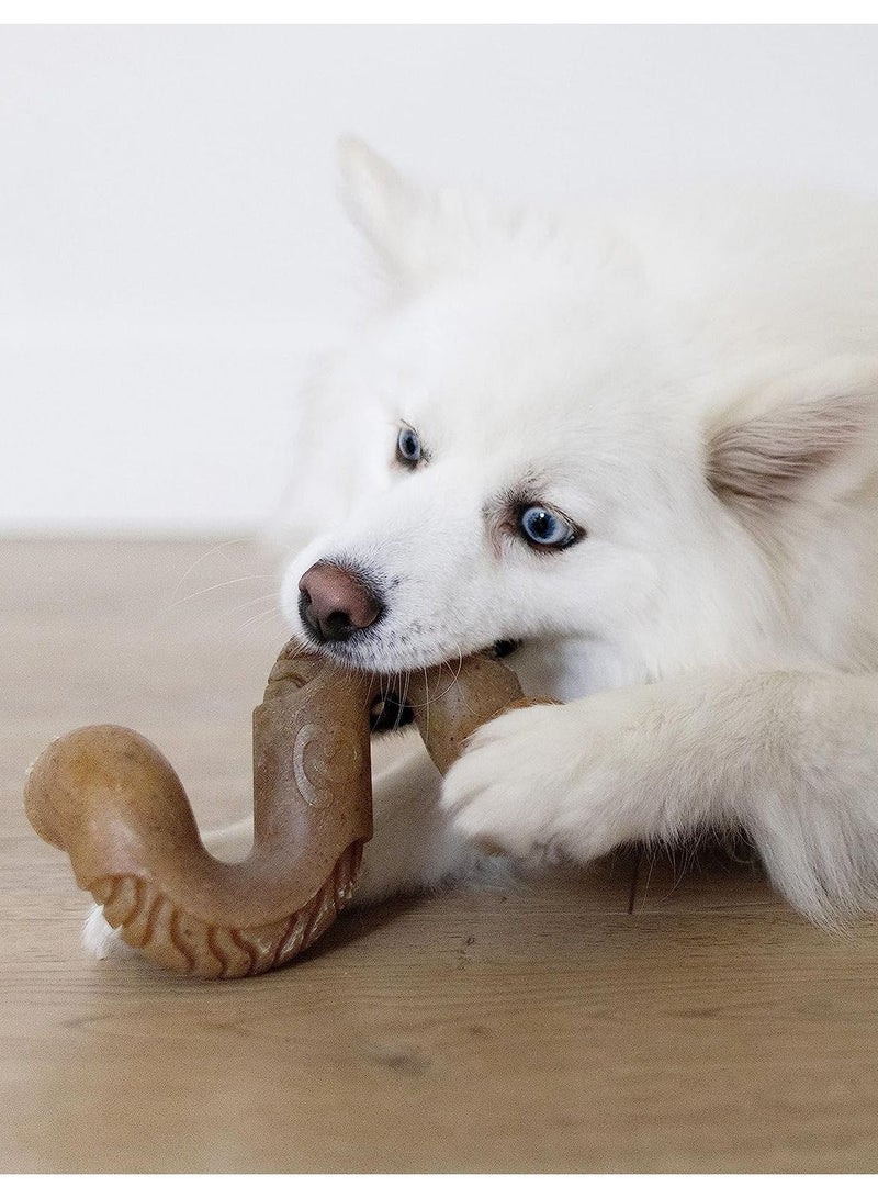Beef Tripe Bone Chew Toy for Aggressive Chewers Medium