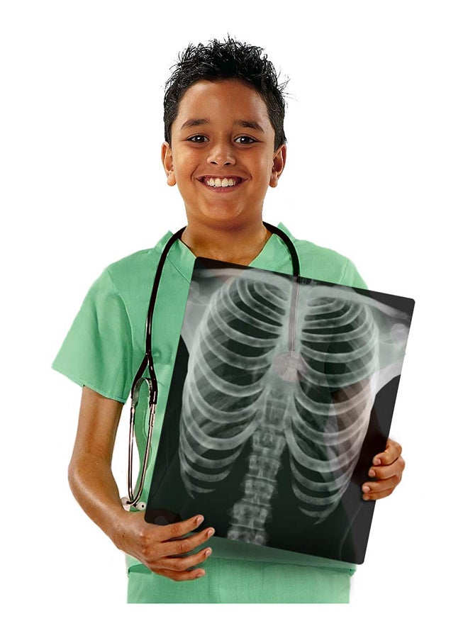 True To Life Human X-Rays 18.1x11.4x0.1inch