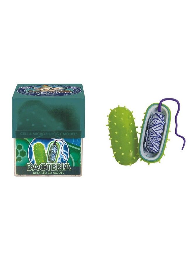 Ein O Science Biosigns Bacteria