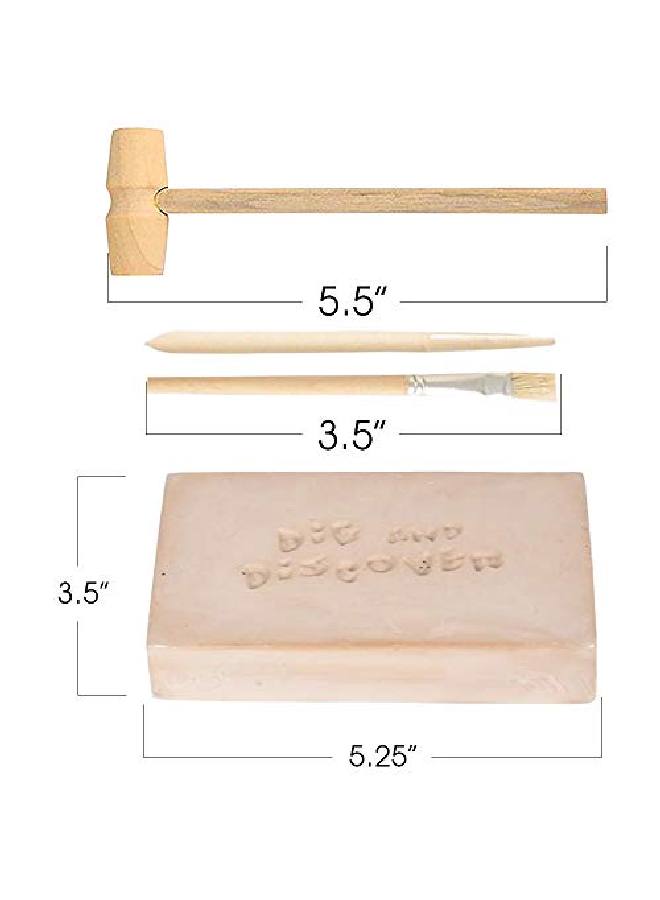 Dino Teeth Dig & Discover Tyrannosaurus Rex Tooth/ Tabosaurus Tooth