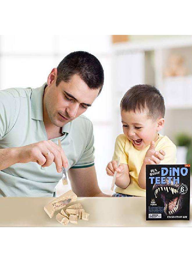 Dino Teeth Dig & Discover Tyrannosaurus Rex Tooth/ Tabosaurus Tooth