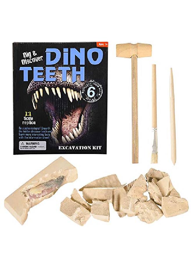 Dino Teeth Dig & Discover Tyrannosaurus Rex Tooth/ Tabosaurus Tooth