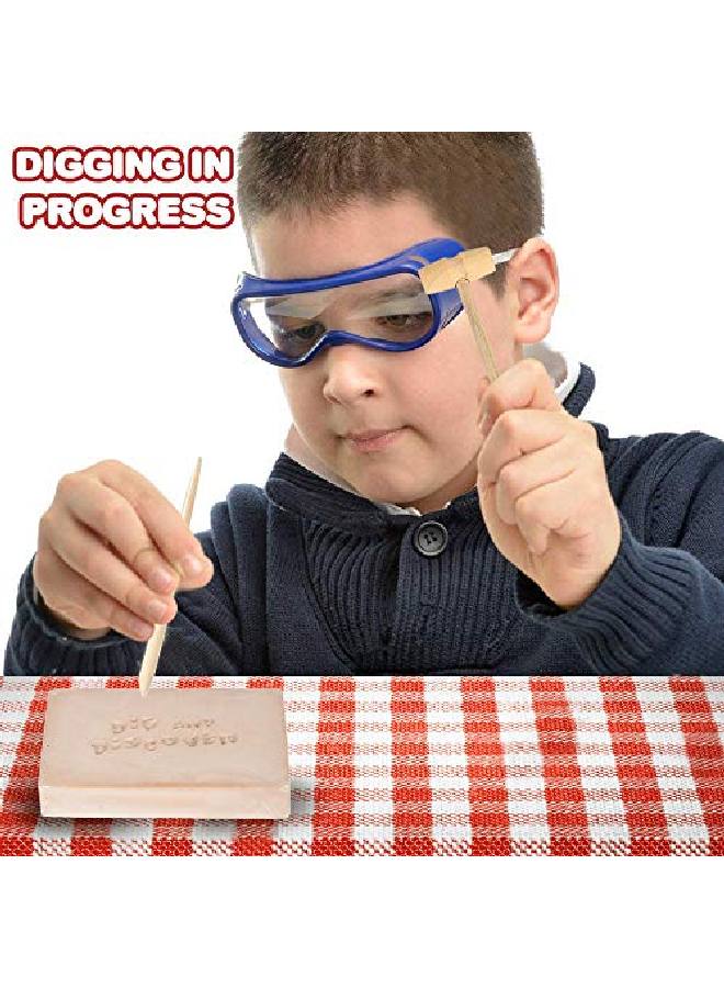 Dino Teeth Dig & Discover Tyrannosaurus Rex Tooth/ Tabosaurus Tooth