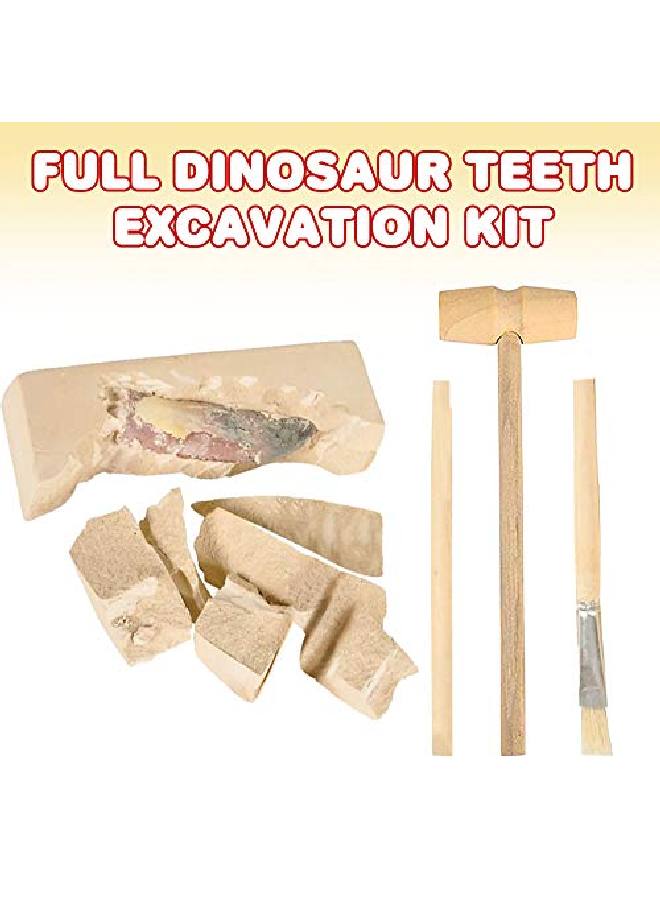 Dino Teeth Dig & Discover Tyrannosaurus Rex Tooth/ Tabosaurus Tooth