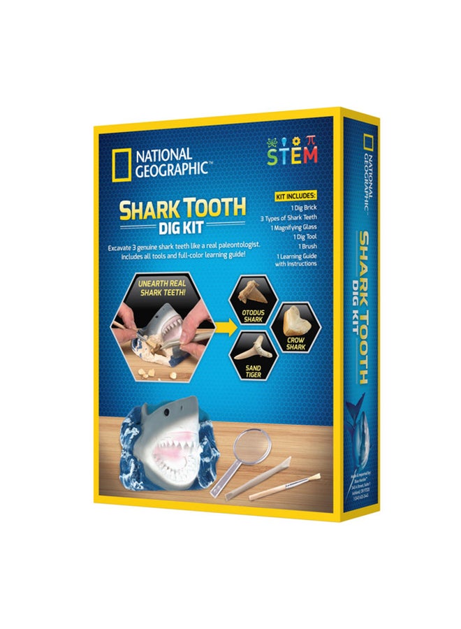 Shark Tooth Dig Kit 18.4x6x25.4cm
