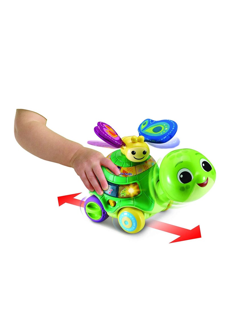 Baby 2 in 1 Push & Discover Turtle