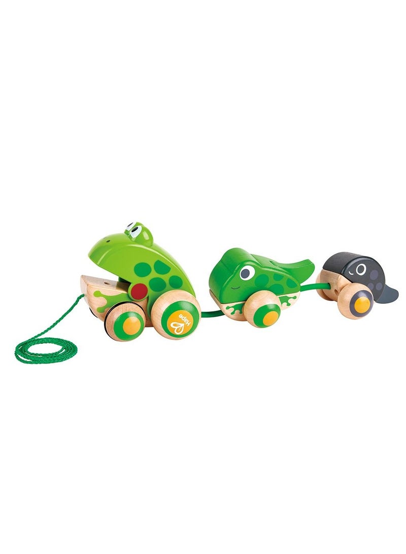 Hape Wooden Frog-Themed Push and Pull-Along Toy