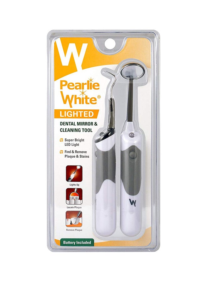 Dental Mirror And Cleaning Tool