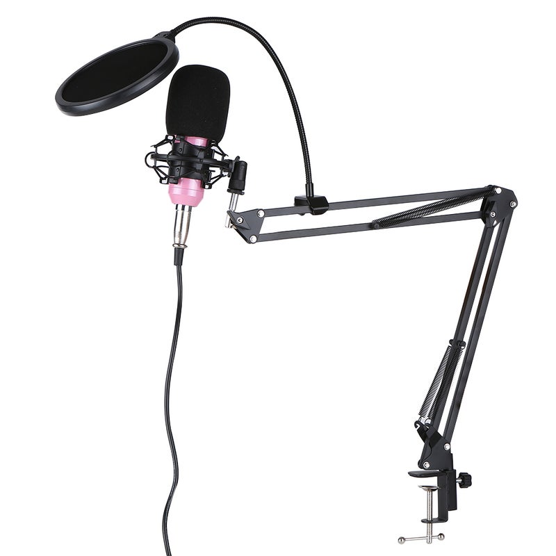 BM-800 Condenser Microphone Set V6949B-S_P Black/Silver