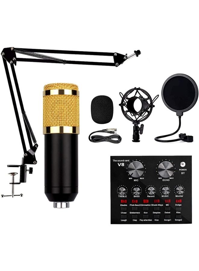 Portable condenser microphone set, V8 sound card, studio microphone, podcast recording, for Live Broadcast Live Sound Card Set Voice Changer