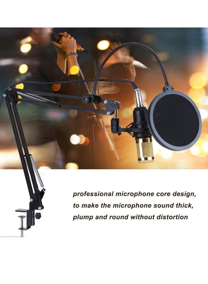 Podcast Equipment Bundle,BM-800 Recording Studio Package with Voice Changer,Live Sound Card - Audio Interface for Laptop Computer Vlog Living Broadcast Live Streaming YouTube TikTok(V8)
