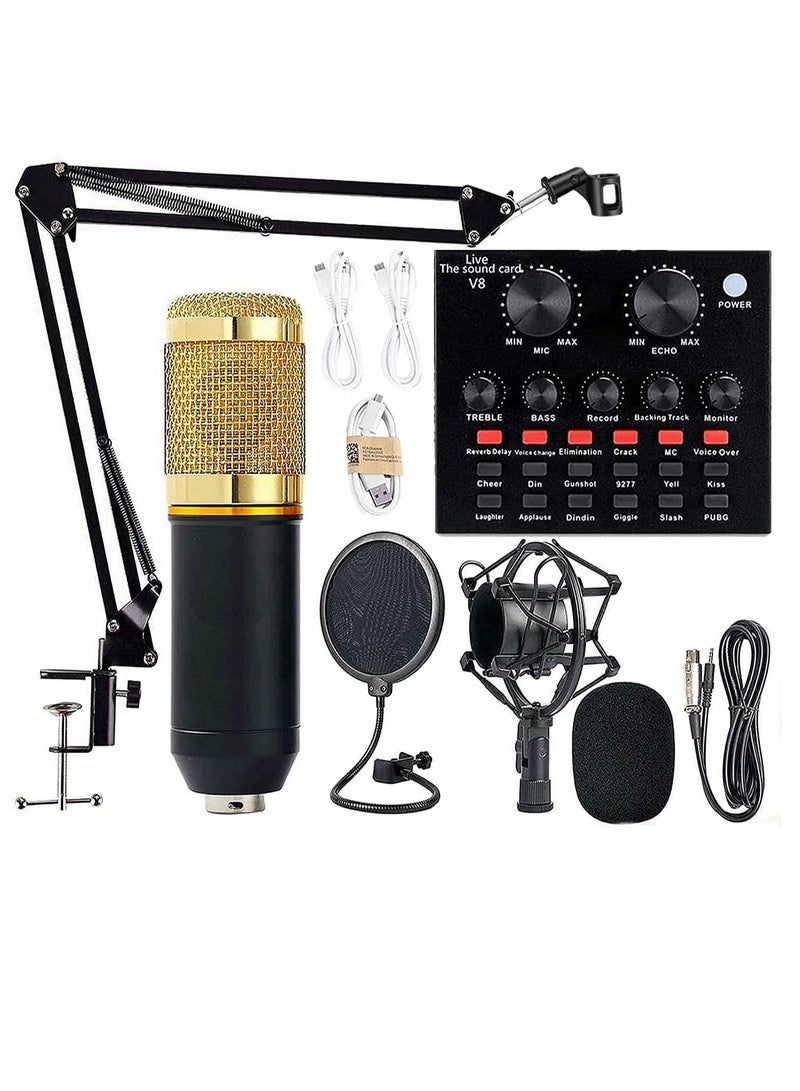 Podcast Equipment Bundle,BM-800 Recording Studio Package with Voice Changer,Live Sound Card - Audio Interface for Laptop Computer Vlog Living Broadcast Live Streaming YouTube TikTok(V8)