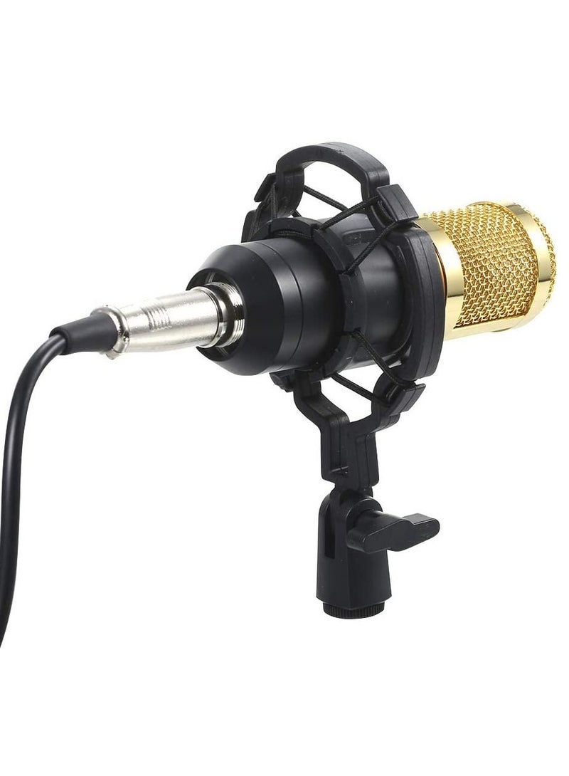 Podcast Equipment Bundle,BM-800 Recording Studio Package with Voice Changer,Live Sound Card - Audio Interface for Laptop Computer Vlog Living Broadcast Live Streaming YouTube TikTok(V8)