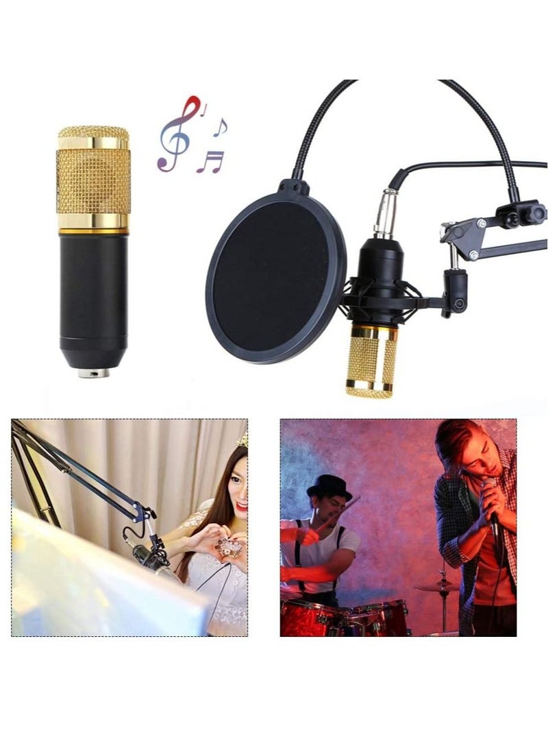 Podcast Equipment Bundle,BM-800 Recording Studio Package with Voice Changer,Live Sound Card - Audio Interface for Laptop Computer Vlog Living Broadcast Live Streaming YouTube TikTok(V8)