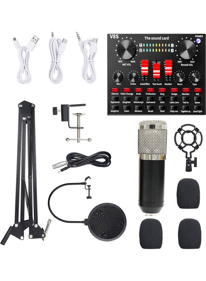 Studio Recording And Broadcasting  Microphone Set Black/Silver