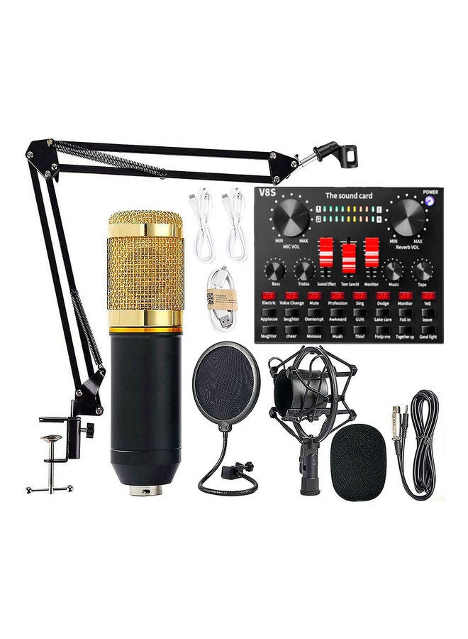 Studio Recording And Broadcasting  Microphone Set Black/Gold