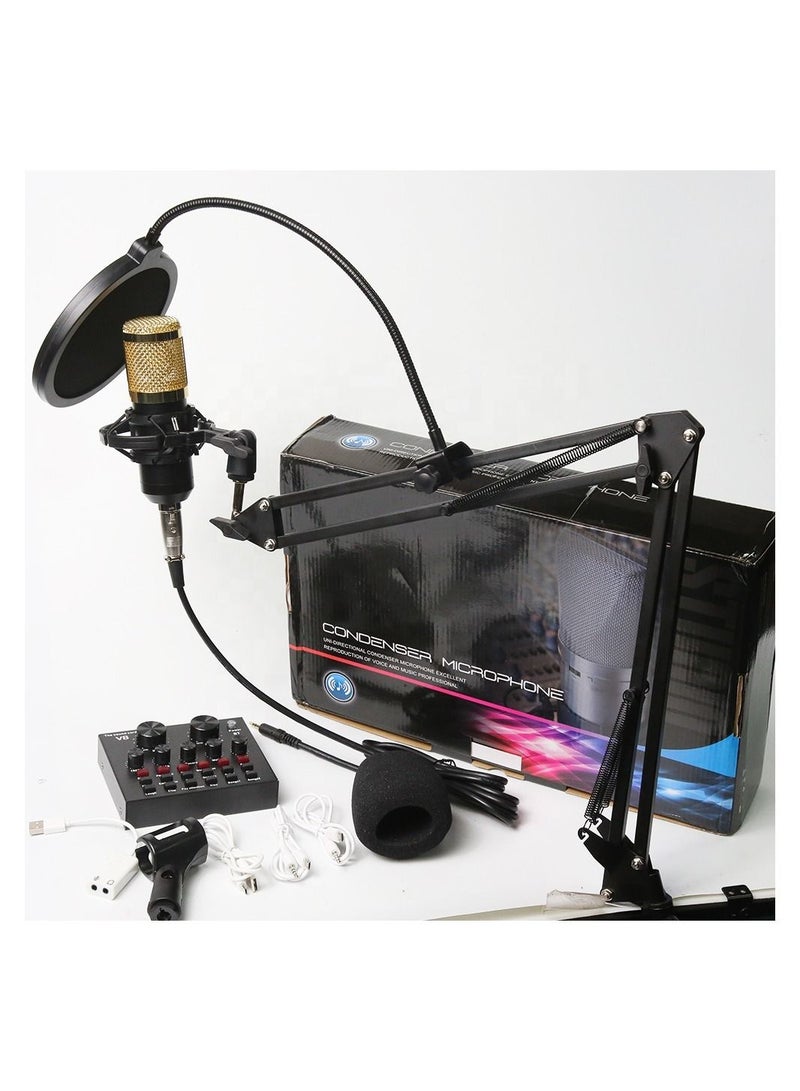 Adjustable Recording Condenser Microphone with Kit v8