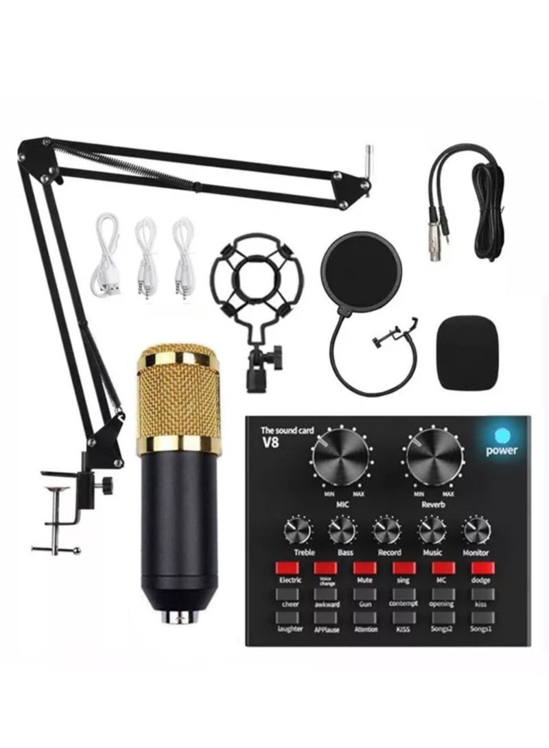 11 Piece Broadcasting And Recording Condenser Microphone Kit Black
