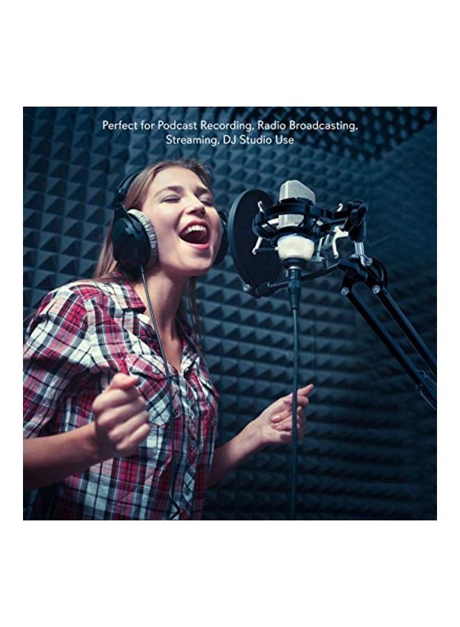 Scissor Spring Arm Mic Stand With Shock Mount PMKSH01 Black/Silver