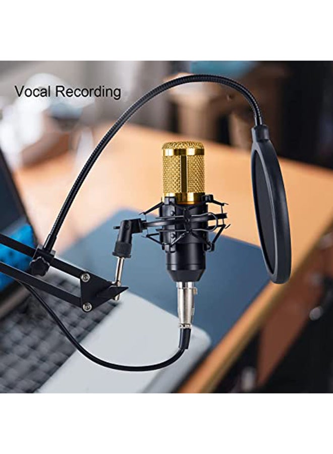 Professional Condenser Audio Streaming Kit Black/Gold