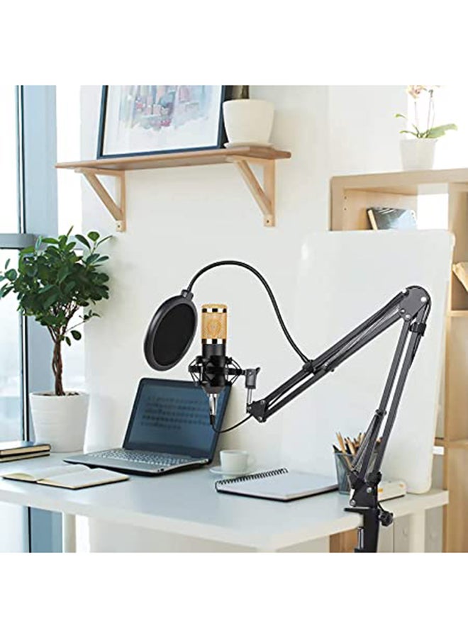 Professional Condenser Audio Streaming Kit Black/Gold