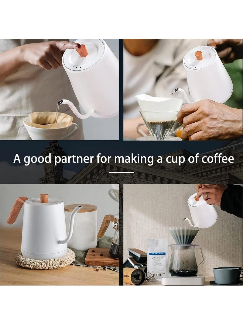 Electric Kettle with Temperature Control 3 Presets Pour Over Electric Kettle for Coffee&Tea Quick Heating Hot Water Kettle Stainless Steel Inner Auto Shutoff Boil-Dry Protection 0.8L (White)