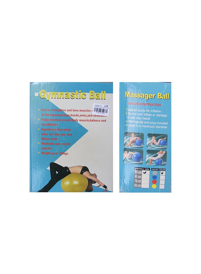 GYM BALL LS-3262-55 55CM W/MASSAGE +FOOT PUMP @FS