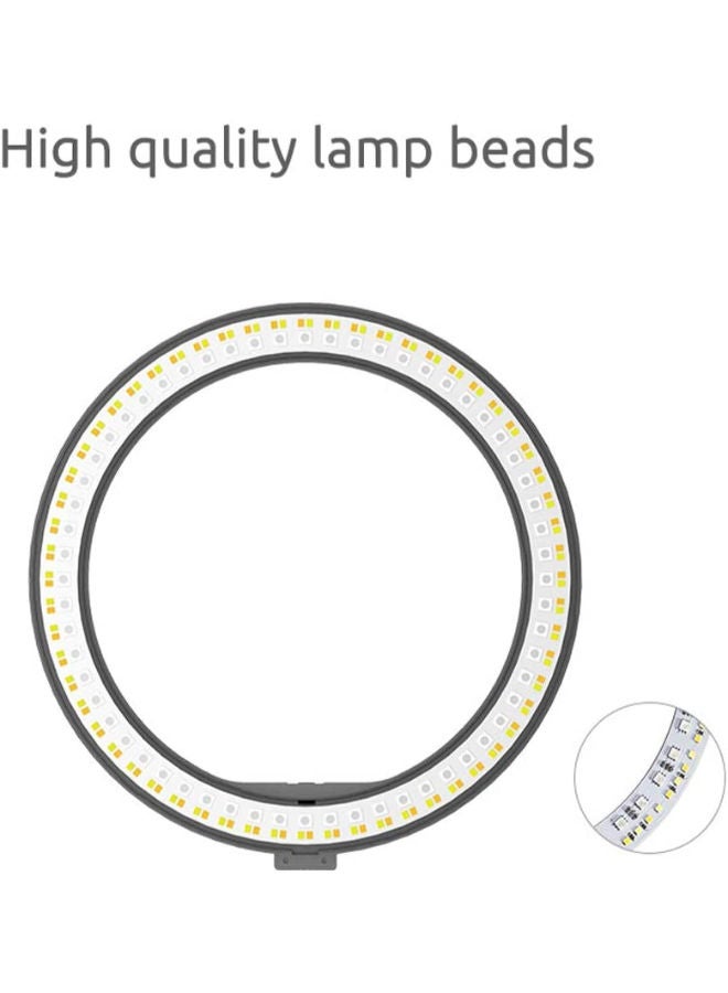 10-Inch LED Ring Fill Light RGB Ring Lamp USB Ring Light Photo Selfie Lamp with Remote and Phone Stand for Streaming Video Photography