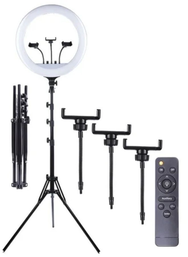 20 Inch Ring Light Tripod Mount Live Broadcast Dual Phone Bracket RL-18 White