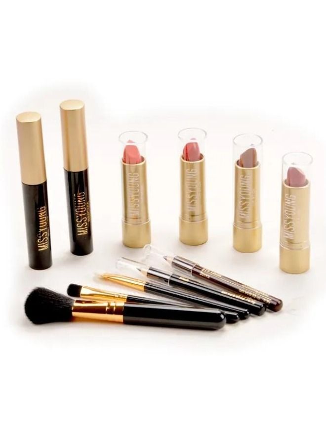 MISS YOUNG Professional Makeup Kit Gift Set