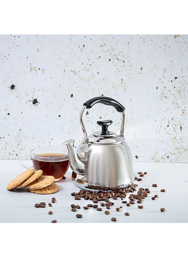 Whistling Kettle Stainless Steel 1000Ml Multicolor