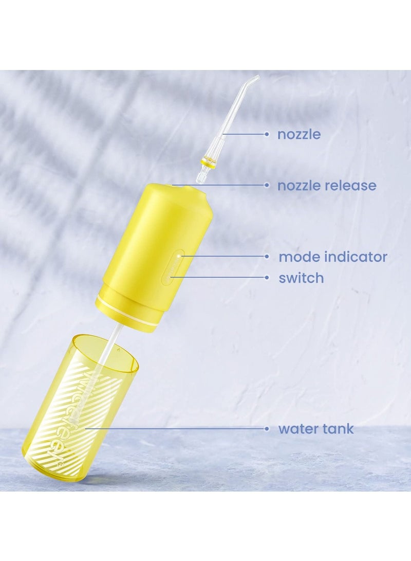 Nicefeel Cordless Portable Dental Water Flosser Dental Oral Irrigator High Capacity Battery Easy to Use Single Button Operation for Home and Travel 160 ML