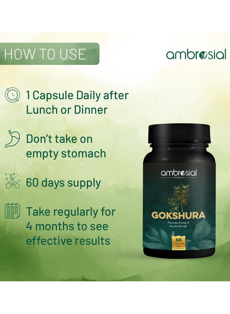Gokshura Tribulus Terrestris High Strength 500 Mg Per Capsule Herbal Supplement For Energy And Immunity 60 Capsules