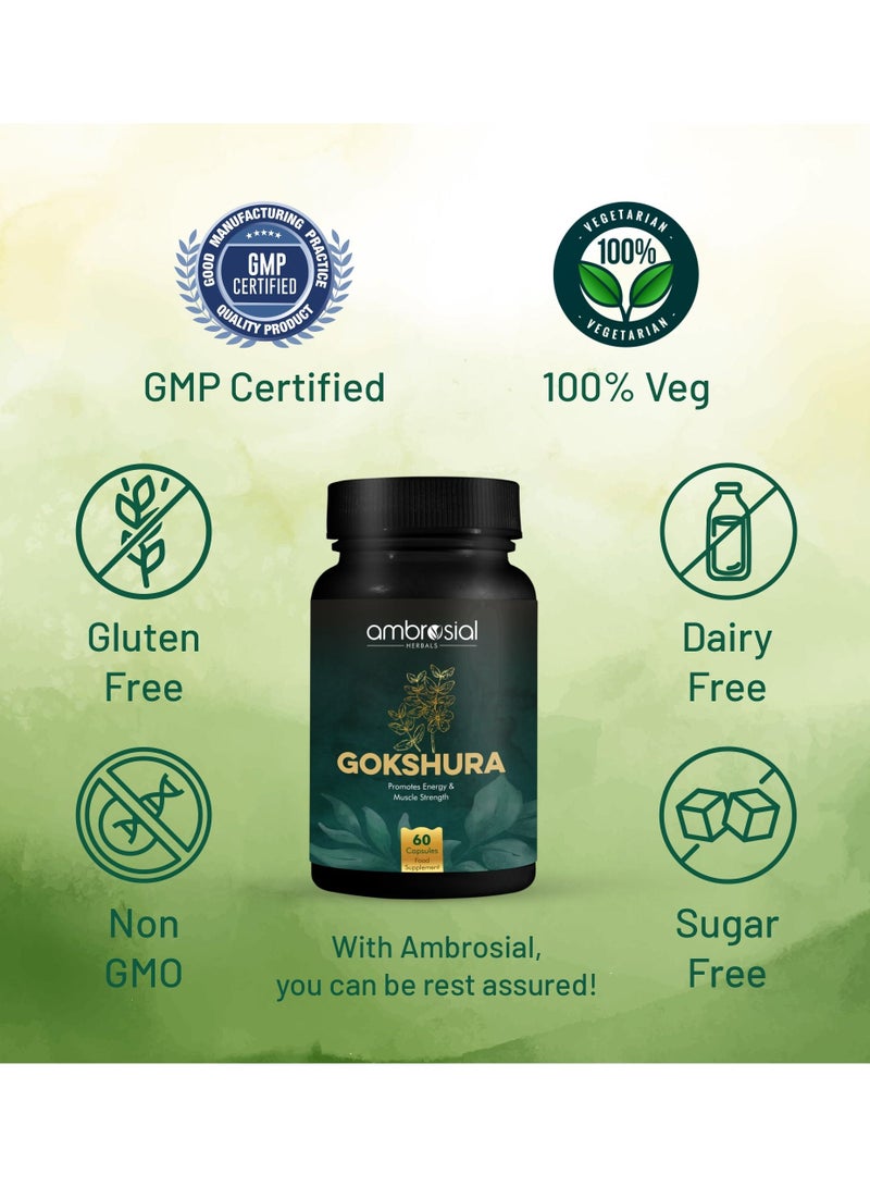 Gokshura Tribulus Terrestris High Strength 500 Mg Per Capsule Herbal Supplement For Energy And Immunity 60 Capsules