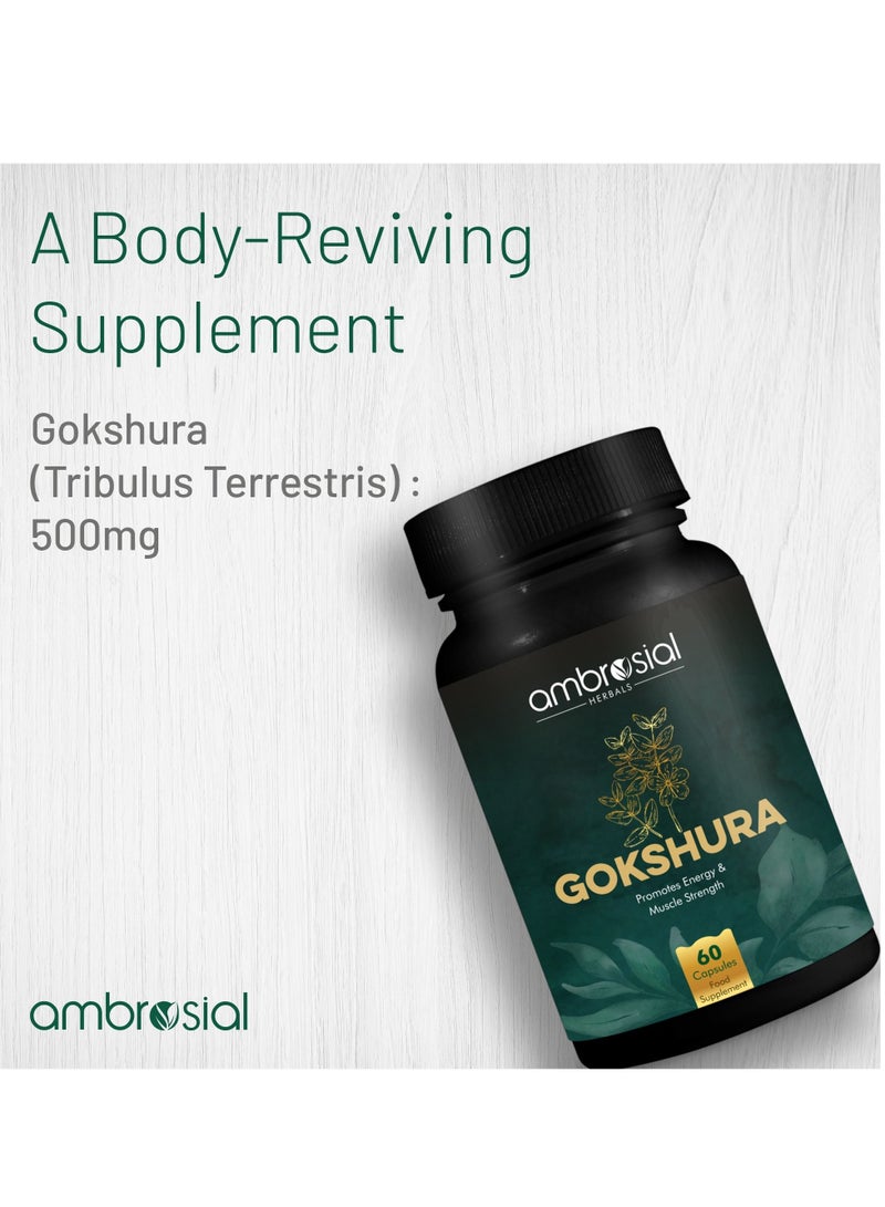 Gokshura Tribulus Terrestris High Strength 500 Mg Per Capsule Herbal Supplement For Energy And Immunity 60 Capsules