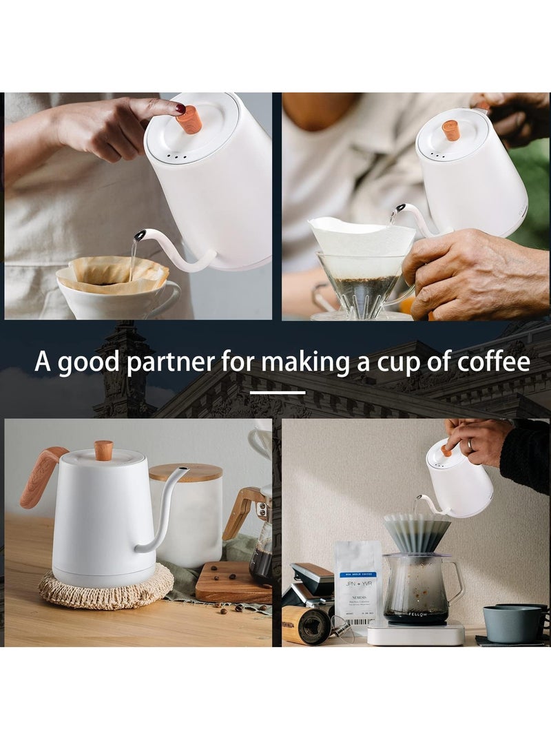 Electric Gooseneck Kettle Stainless Steel Electric Tea Kettle Fast Boiling Hot Water Kettle Pour-Over Coffee and Tea Kettle, Auto Shutoff Leak-Proof Quick Heating Anti-dry 1000ml  (White)