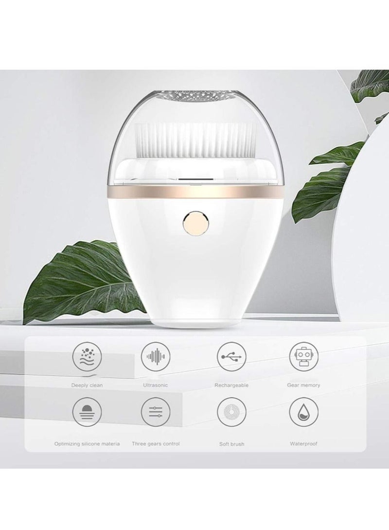 Set of Nano Ionic Facial Steamer Home Facial SPA Sauna Hot Mist Sprayer Moisturizing Cleansing Pores + Massaging Facial Cleaner With 2 Heads 3 Modes Waterproof USB Charging Exfoliating Cleansing Brush