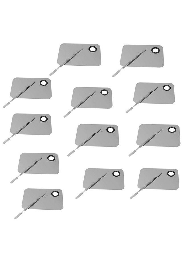Pack Of 12 Makeup Palette With Stainless Steel Square Shape Spatula Silver