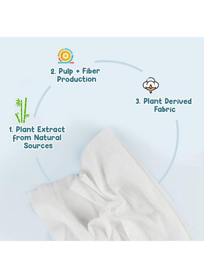 98% Water Based Wipes 60 Pcs Per Pack ; Plant Derived Fabric ; Mildly Scented I Pack Of 3