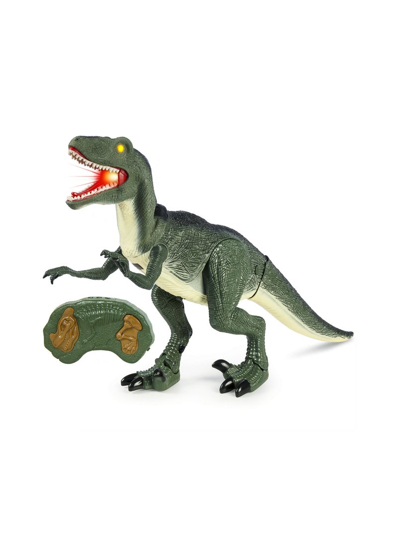 RC Dinosaurs Infrared Jurasic Dinosaur Dragon Robot with Flap Wing, Walking, Lights & Roaring Sound Action, Head Swing Movement Toy for Kids