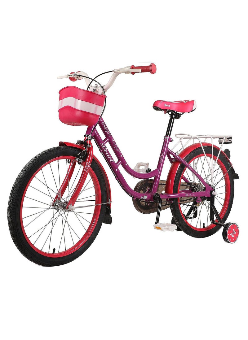 Mogoo Pearl Road Bike With Basket for 4-10 Years Old - Adjustable Seat - Handbrake - Mudguards - Reflectors - Rear Carrier - Gift for Kids - 20 Inch Bicycle with Training Wheels - Purple
