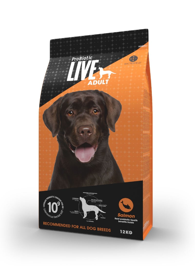 Dog Dry Food Adult Salmon and Rice