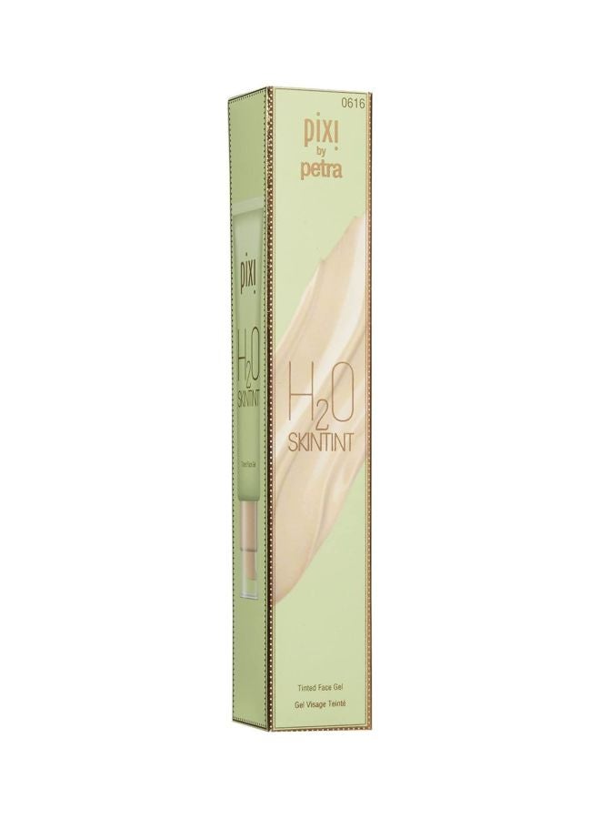 H2O Skintint Tinted Face Gel 2 Nude