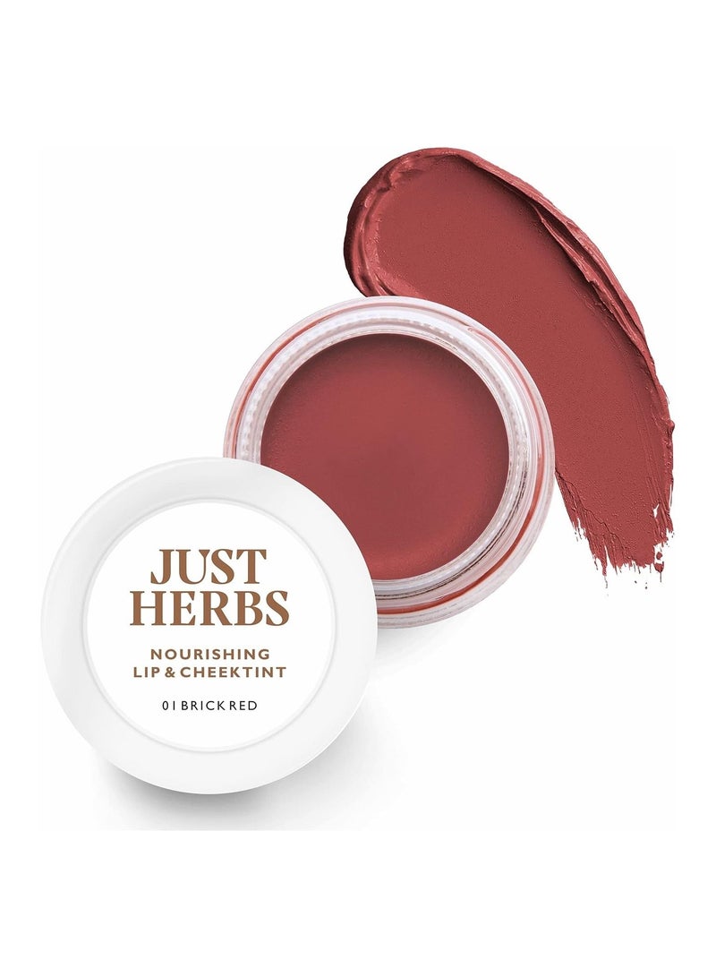 Just Herbs Ayurvedic Natural Lip and Cheek Tint Blush 01 Brick Red Creamy Matte