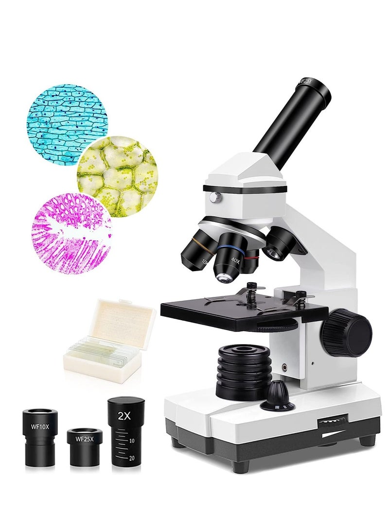 Powerful 100X-2000X Microscopes for Kids & Adults - Ideal for Home & School Labs with Slides & Phone Adapter