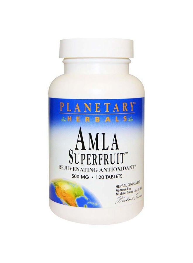 Planetary Herbals Amla Superfruit, 500 mg, 120 Tablets